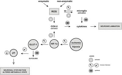 Advances in the Potential Biomarkers of Epilepsy